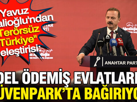 Haber gorseli